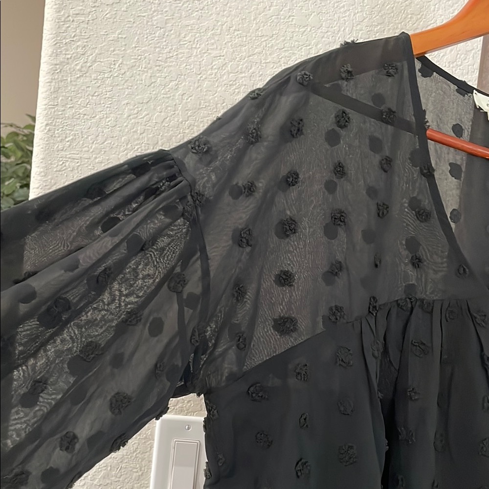 Entro Black Sheer Flutter Sleeve Blouse Gorgeous Top! SZ:L like new - Picture 5 of 14